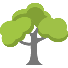 Franklin Tree Removal Service