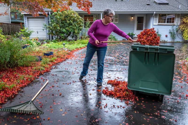 Clean Property After Leaf Removal